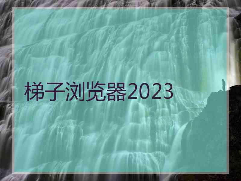 梯子浏览器2023 梯子浏览器2023