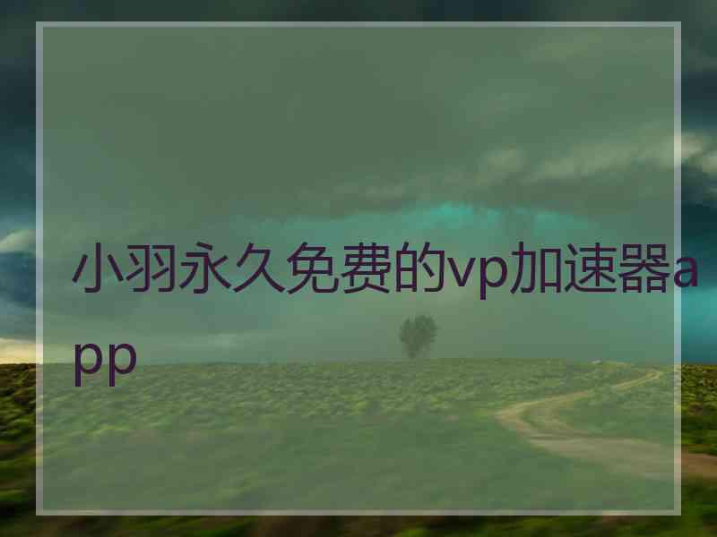 小羽永久免费的vp加速器app 小羽永久免费的vp加速器app