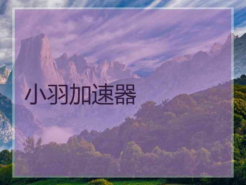 小羽加速器