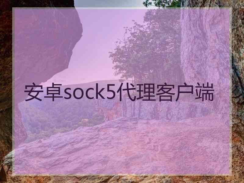安卓sock5代理客户端