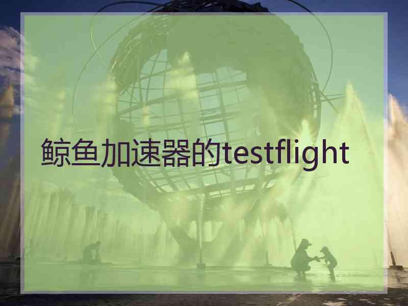 鲸鱼加速器的testflight