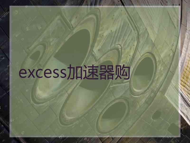 excess加速器购