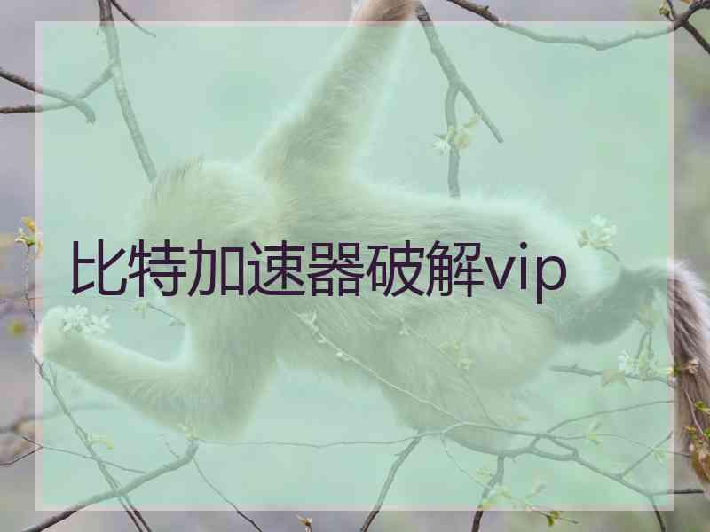 比特加速器破解vip