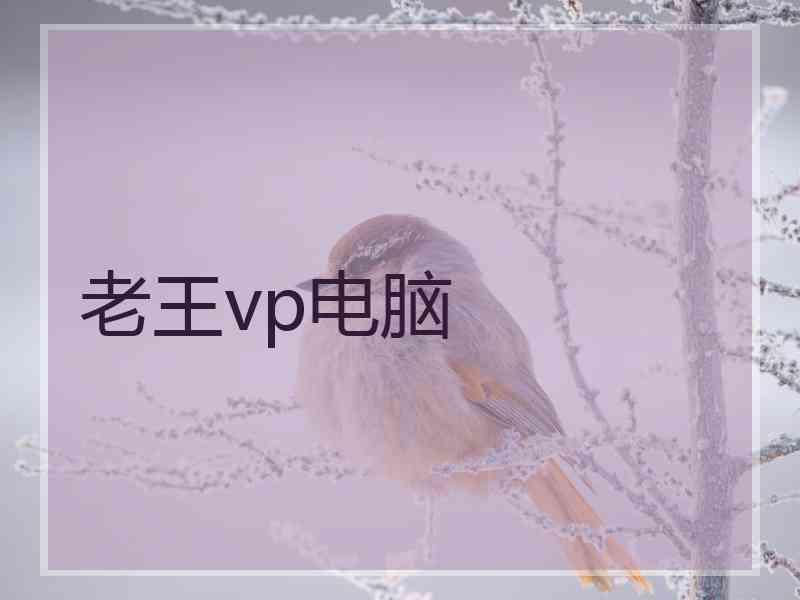 老王vp电脑