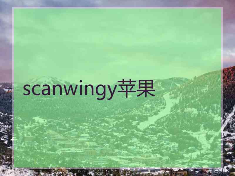 scanwingy苹果