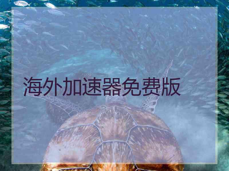 海外加速器免费版