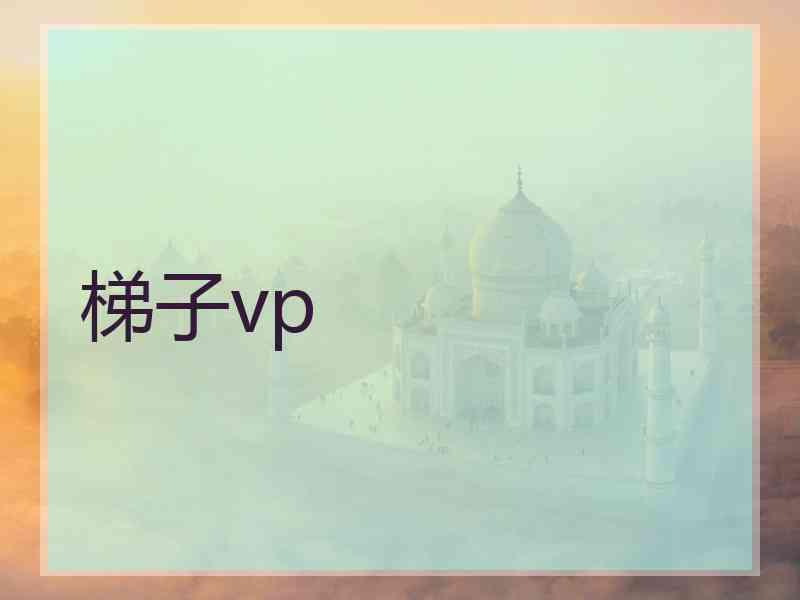 梯子vp