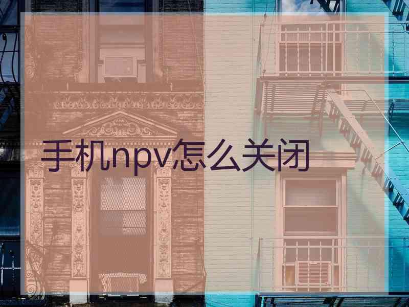 手机npv怎么关闭