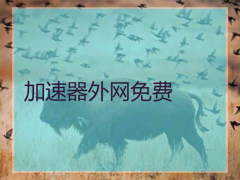 加速器外网免费