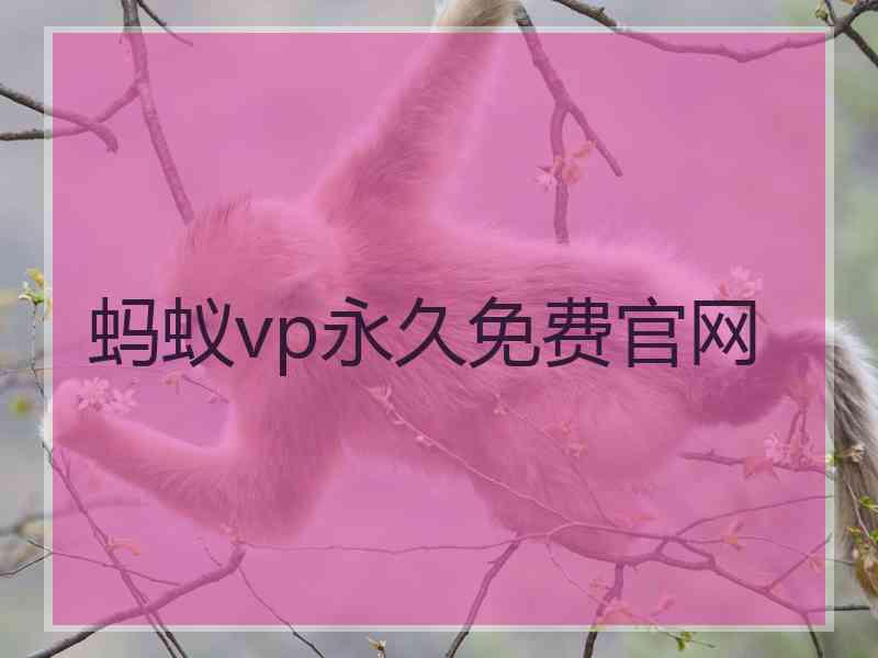 蚂蚁vp永久免费官网