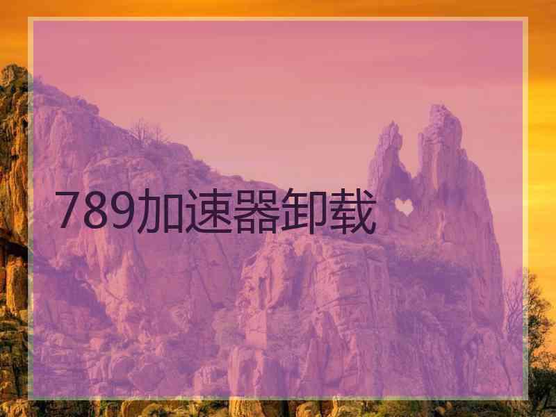 789加速器卸载