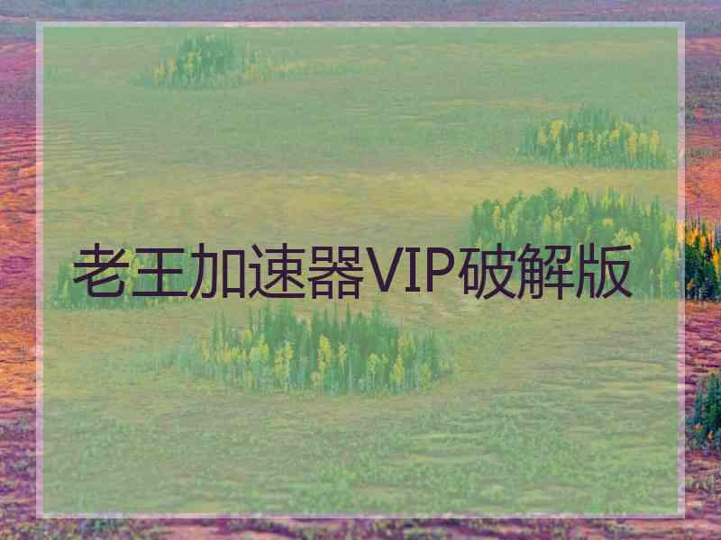 老王加速器VIP破解版