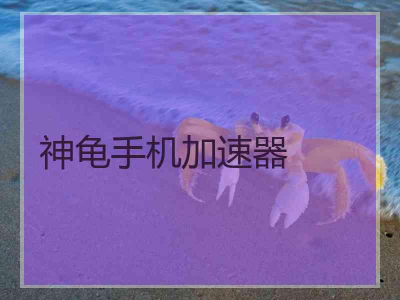 神龟手机加速器